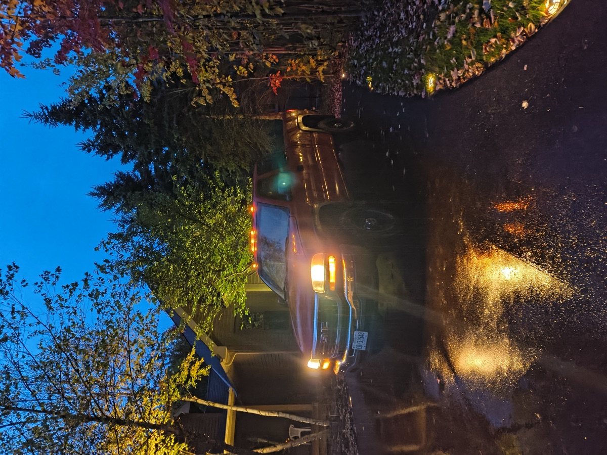 Duffy's Tree Service truck at a job site